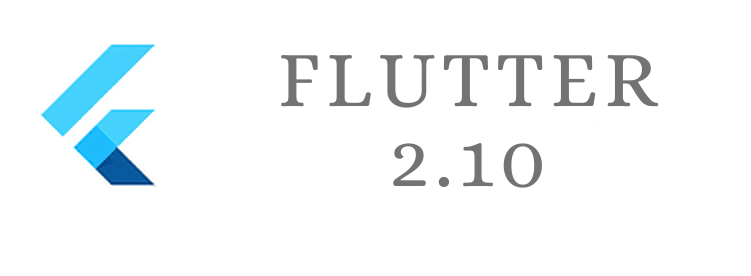 Google Flutter 2.10 image